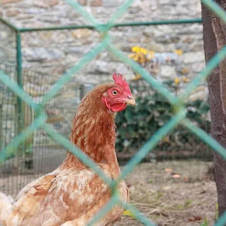 Appartement La Ferme Au Coin *