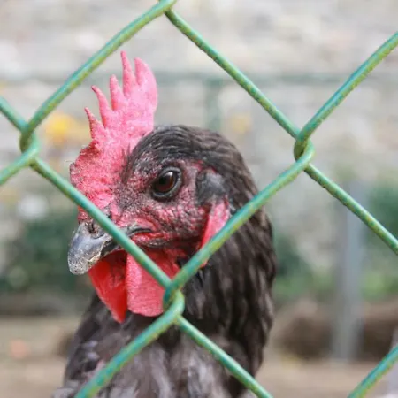 Apartmán La Ferme Au Coin *